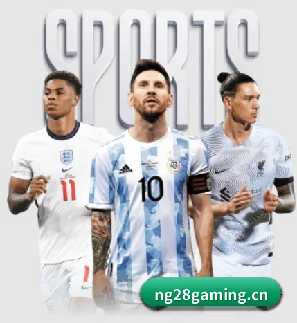 南宫28 APP(NG28)